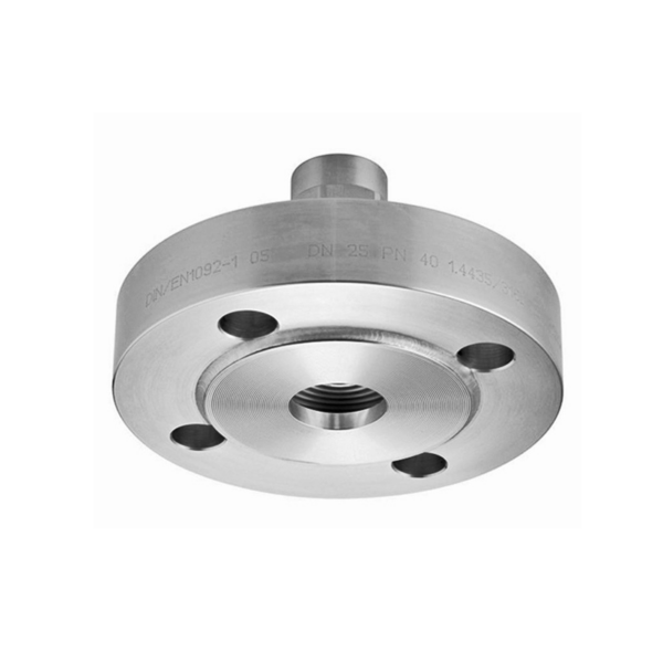 Small Flanged Diaphragm Seal